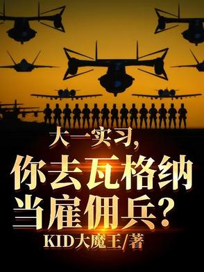大一实习，你跑去国外当雇佣兵？